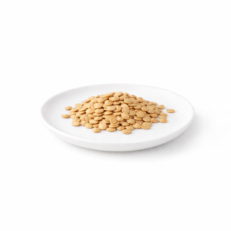 Brinjal Purple Seeds